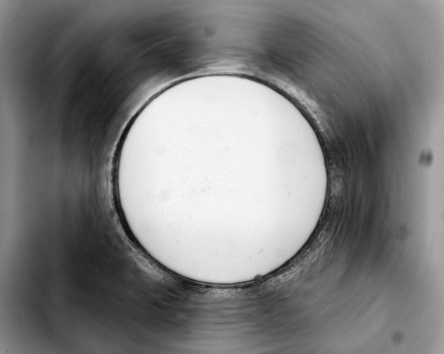 X0000103441423200810101055