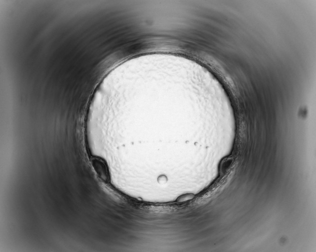 X0000103441425200810101055
