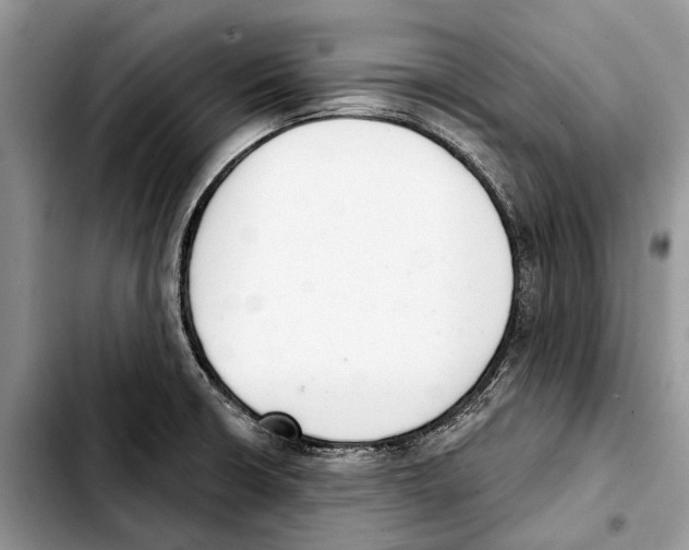 X0000103441426200810101055