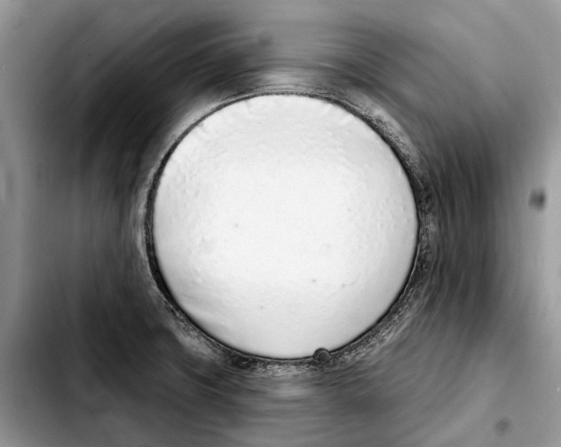 X0000103441427200810101055