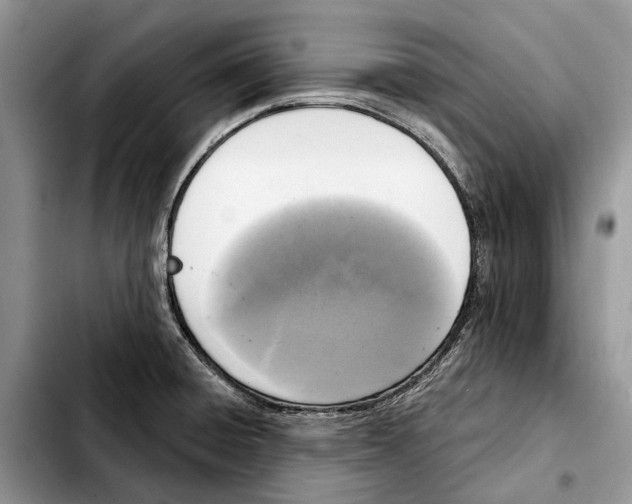 X0000103441428200810101055