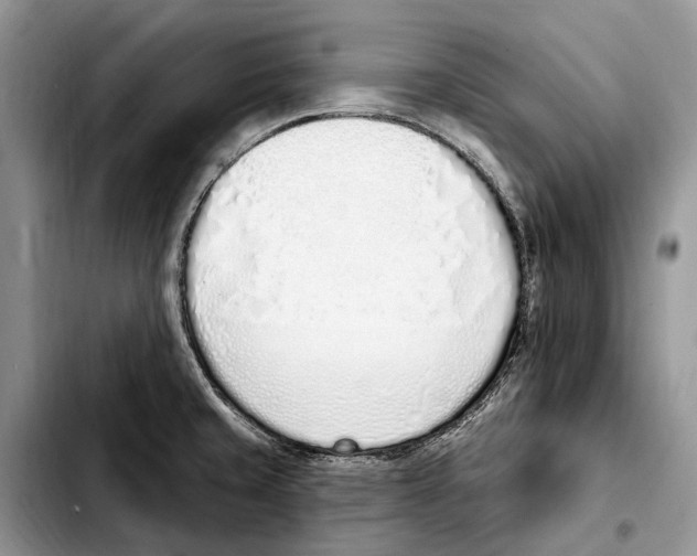X0000103441429200810101055