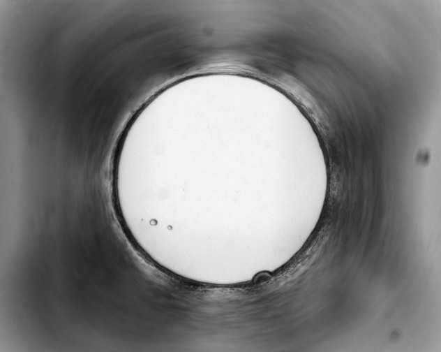 X0000103441430200810101055
