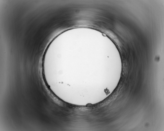 X0000103441431200810101055