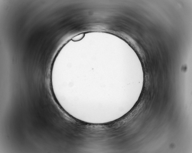 X0000103441432200810101055