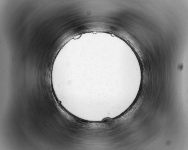 X0000103441433200810101055