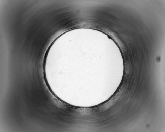X0000103441434200810101055