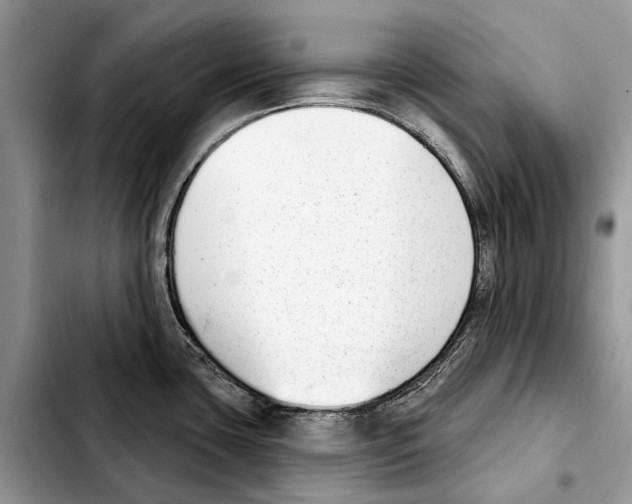 X0000103441435200810101055