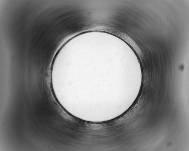 X0000103441436200810101055