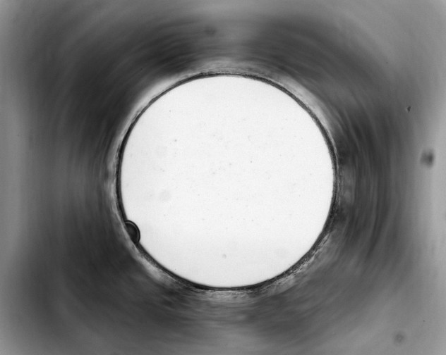 X0000103441437200810101055