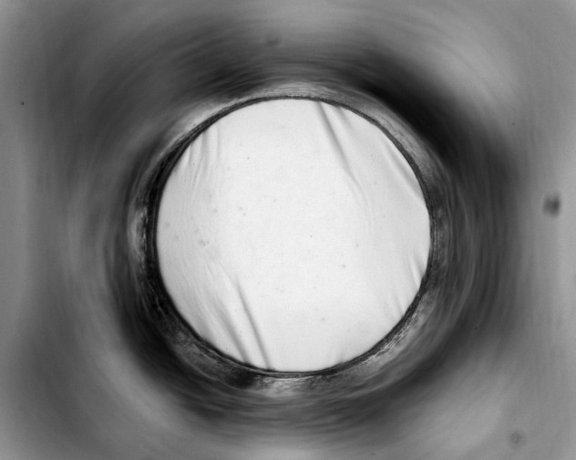X0000103441438200810101055
