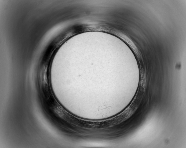 X0000103441439200810101055