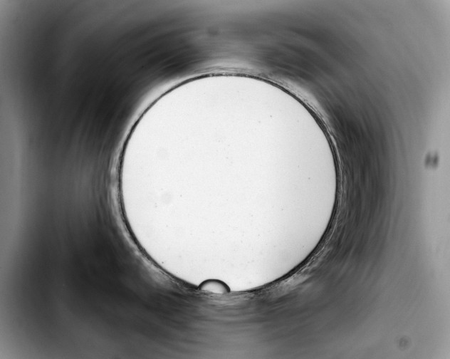 X0000103441440200810101055