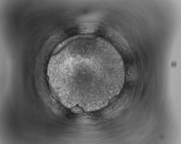 X0000103441441200810101054