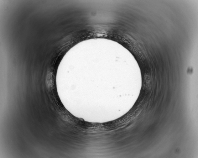 X0000103441442200810101054