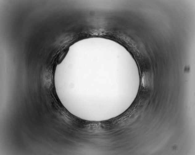 X0000103441444200810101054
