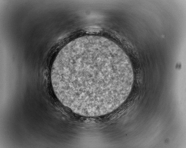 X0000103441445200810101054