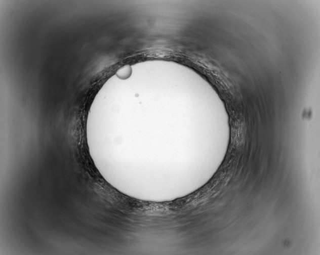 X0000103441446200810101054
