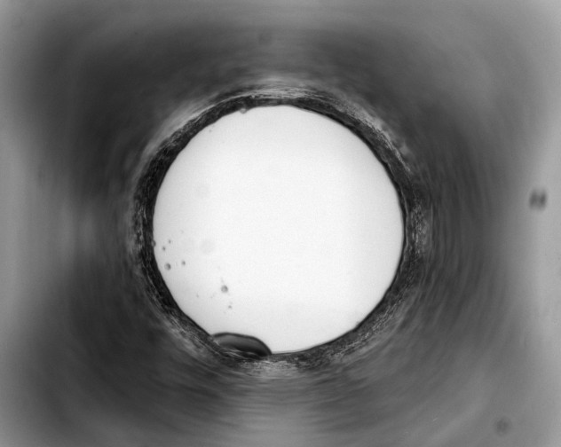 X0000103441448200810101054