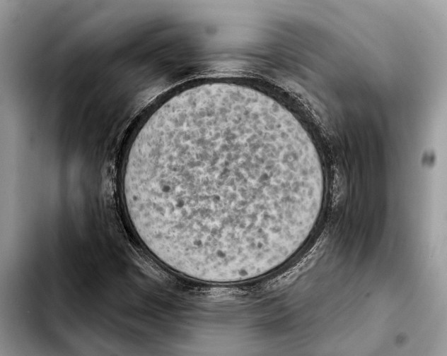 X0000103441449200810101054