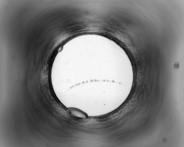 X0000103441450200810101054