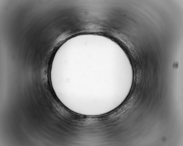 X0000103441451200810101054