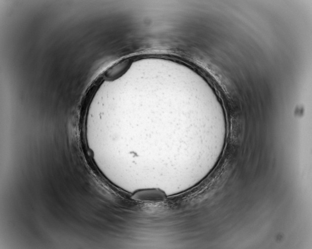 X0000103441452200810101054