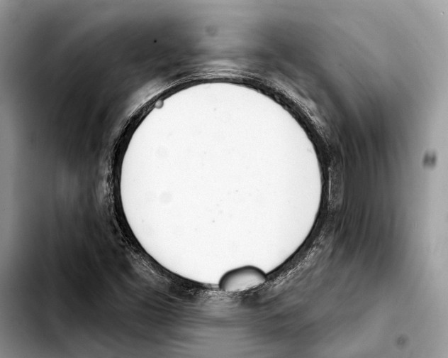 X0000103441453200810101054