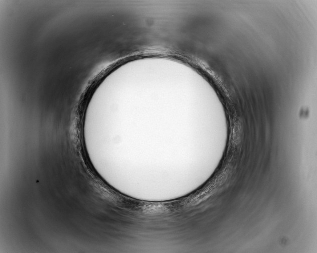 X0000103441454200810101054