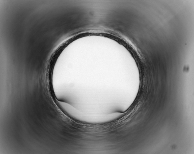 X0000103441456200810101054