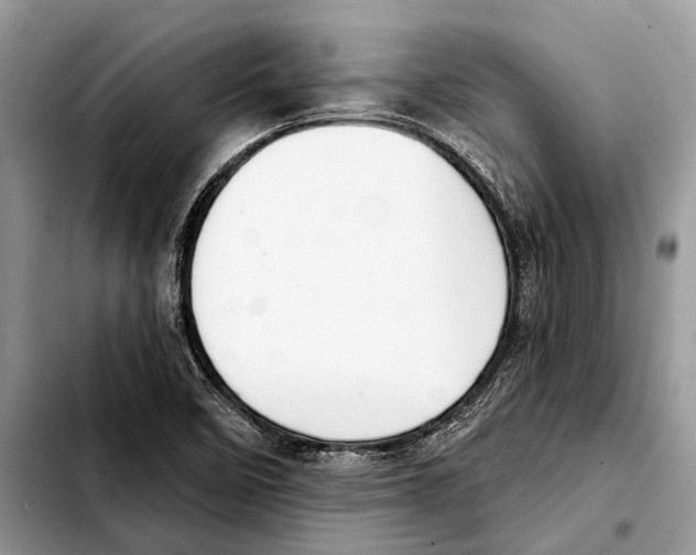X0000103441458200810101054