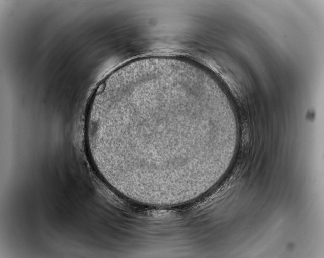 X0000103441459200810101054
