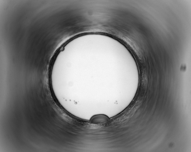 X0000103441460200810101054
