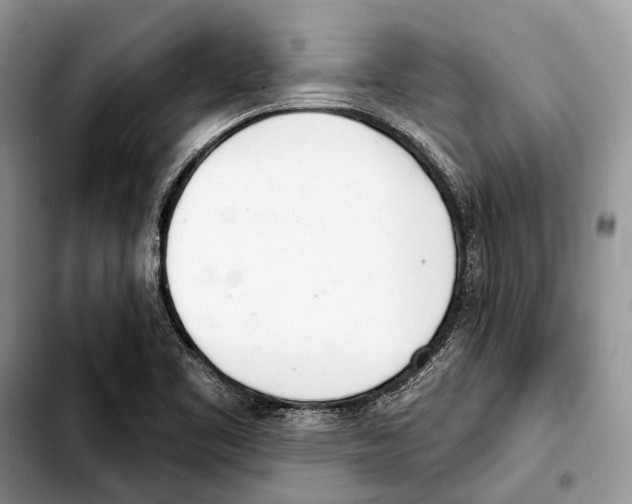 X0000103441461200810101054