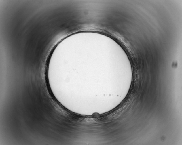 X0000103441463200810101054