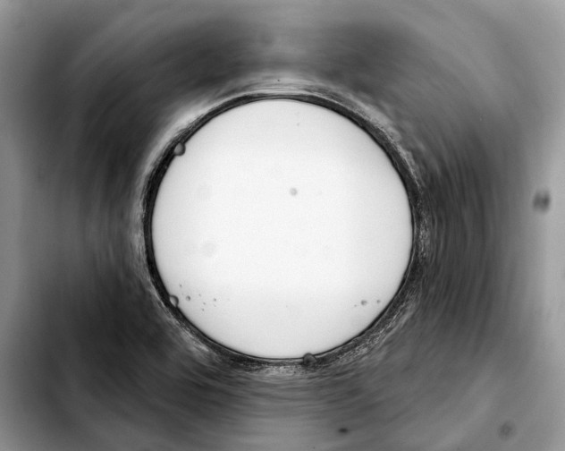 X0000103441464200810101054
