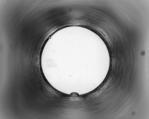 X0000103441465200810101054