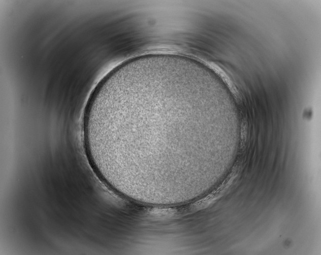 X0000103441466200810101054