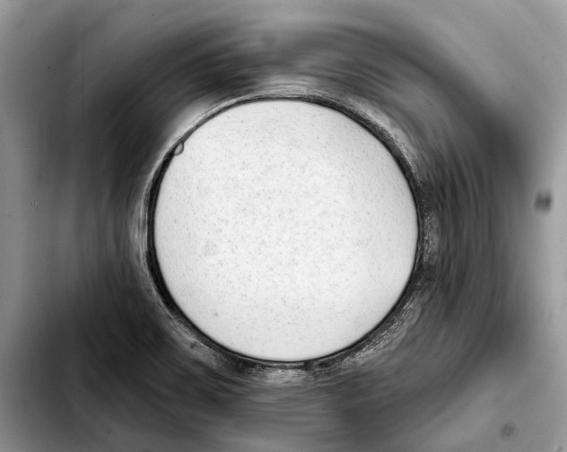 X0000103441467200810101054