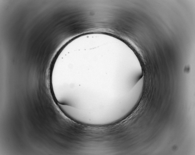 X0000103441468200810101054