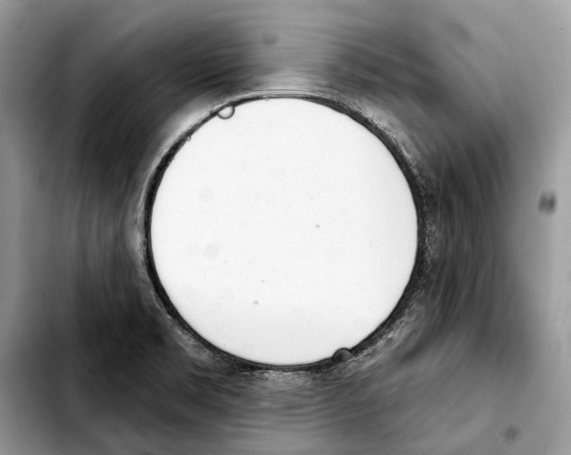 X0000103441469200810101054
