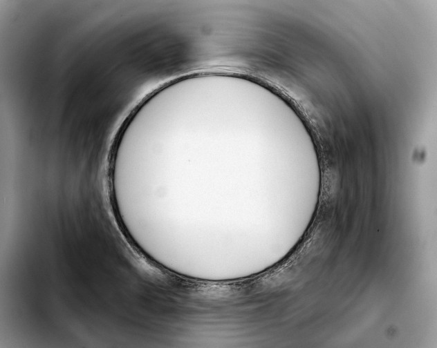 X0000103441470200810101054