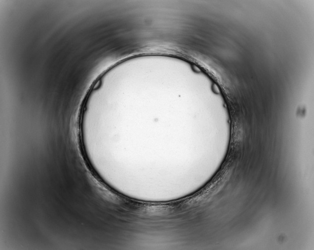 X0000103441471200810101054