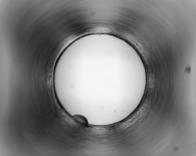 X0000103441473200810101054