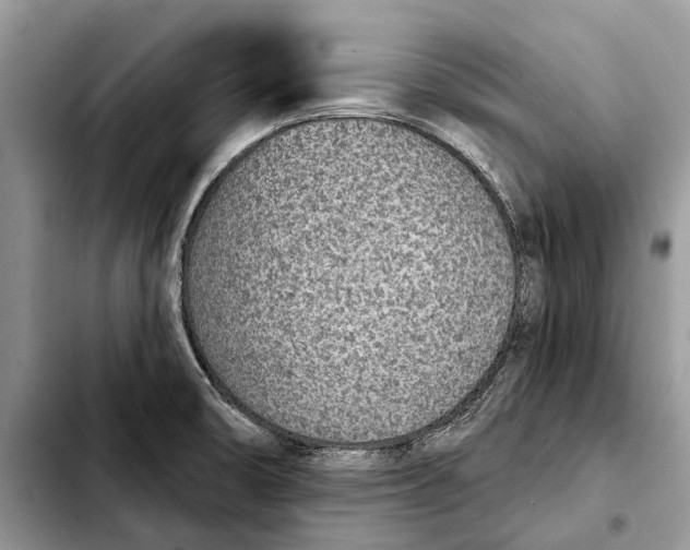X0000103441474200810101054