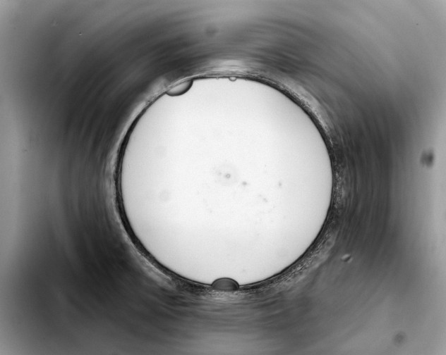 X0000103441475200810101054