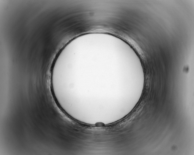 X0000103441476200810101054