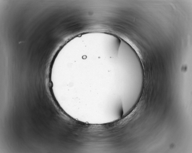 X0000103441477200810101054