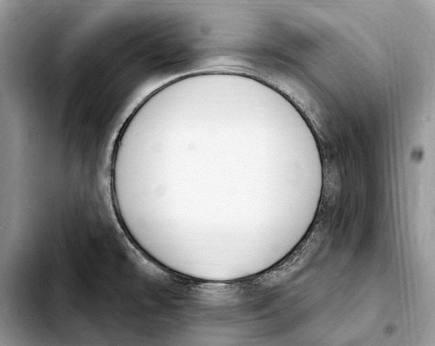 X0000103441478200810101054