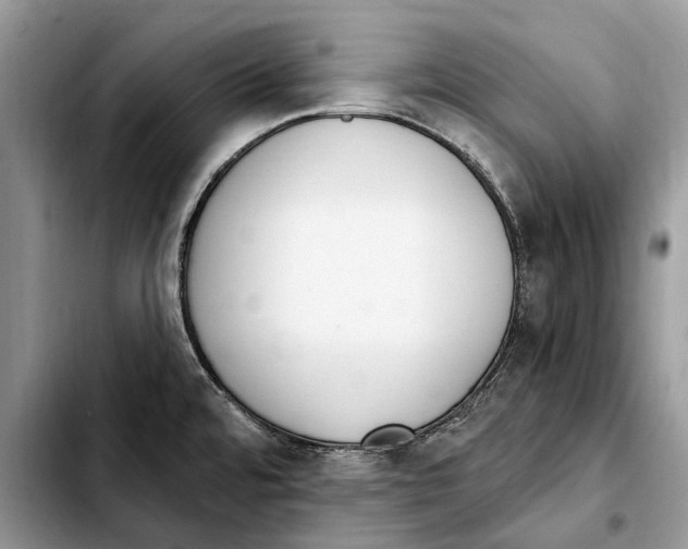X0000103441480200810101054